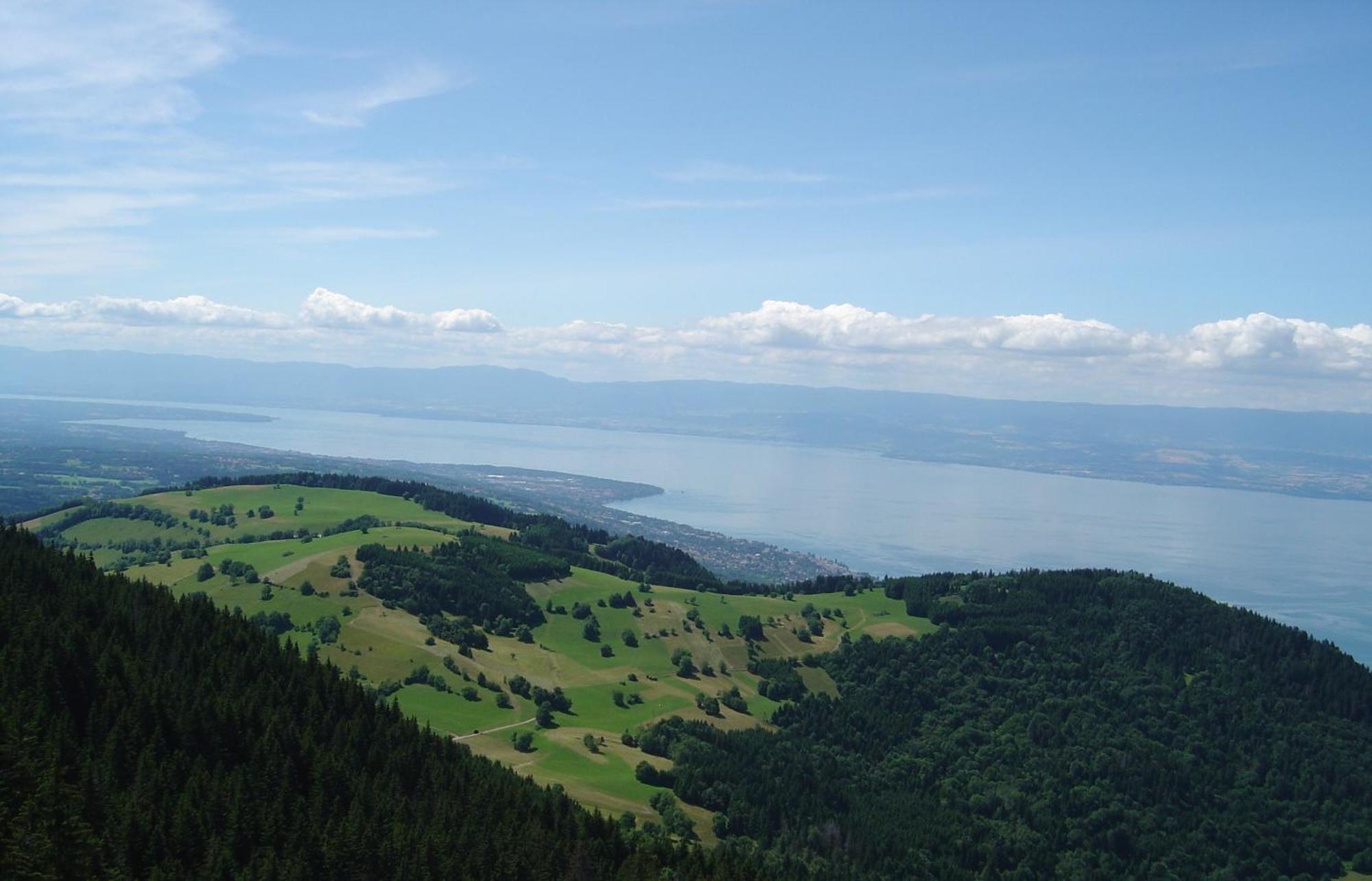 Chalet Les Alpages Vue Panoramique Sur Le Lac Leman Толлон Экстерьер фото