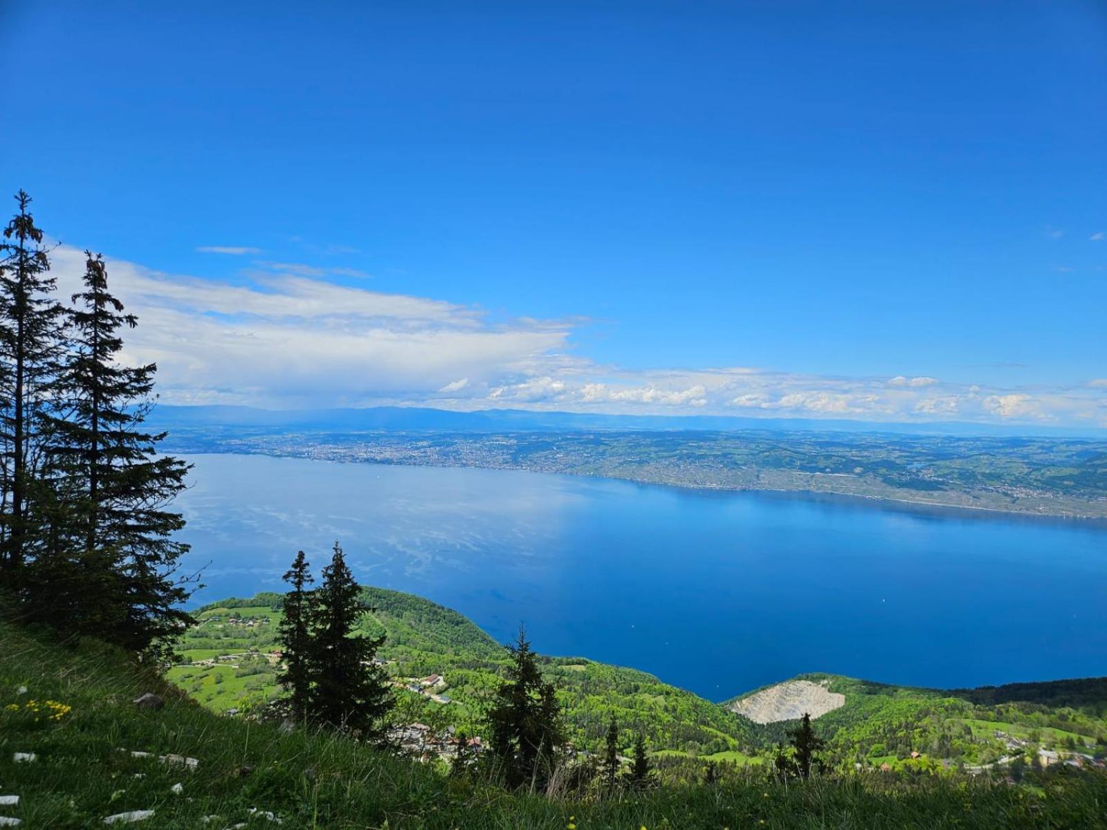 Chalet Les Alpages Vue Panoramique Sur Le Lac Leman Толлон Экстерьер фото